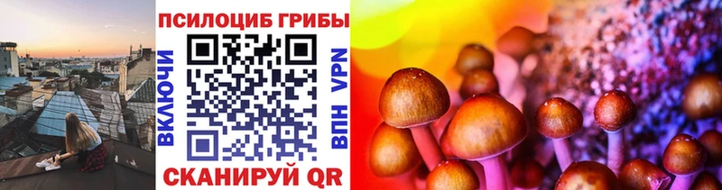 Галлюциногенные грибы Psilocybine cubensis Бакал