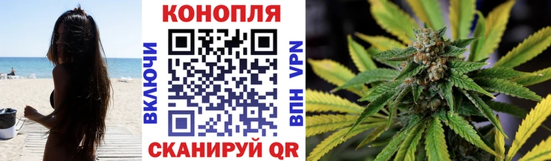 Бошки марихуана конопля  наркотики  Бакал 